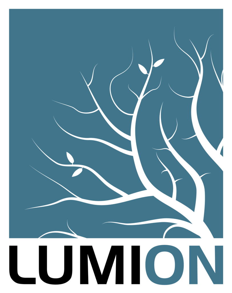 دورة تدريبية في برنامج لوميون (Lumion)